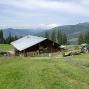 Our Alpine Hut - Holiday on the Farm