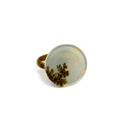L'âge d'or de la peinture anglaise
