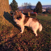 Elikia, mein Schweizer Mädel