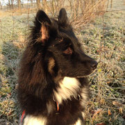 Elodie