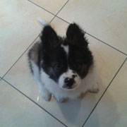Finja