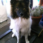 Elodie