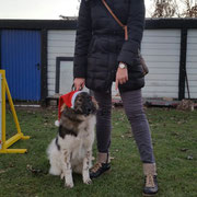 Emilia in der Hundeschule