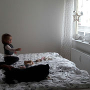 wie...was..warum sollen wir nicht ins Bett??