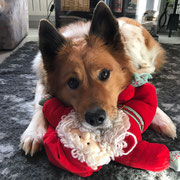 Binka im Weihnachtsmodus