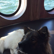 Elodie ist in Tauchkugel und geht damit unter Wasser, cool.
