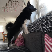 Delisha ist ein wenig neugierig