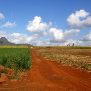 Rostige Wege (Mauritius)