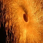 Firework