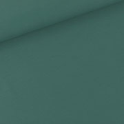 Silver Pine Green