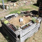 Sandarium - hügelig gestaltet, festgeklopft und eher außen bepflanzt