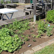 frisch bepflanztes Pergola Beet