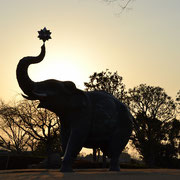 大分市美術館にて象の巨大像