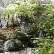 島根の『庭園日本一』足立美術館