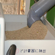籾摺り機に流れてきて一皮むけて玄米へ