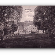 - Laarwoud - ZUIDLAREN - 21.06.1920 -