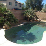 Their BEAUTIFUL POOL!!!  Perfect for the summertime