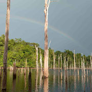 Arc en ciel sur les berges