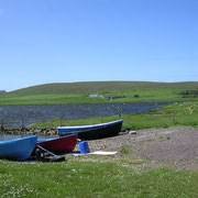 Les Shetland - ....au bord d'un lac vers Scousburg