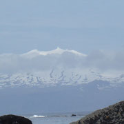 Ytri Tunga - Le majestueux glacier du Snaefellsjokull ( 1446 m)