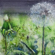 Zum Losfliegen bereit.  Aquarell (2020). Erhältlich