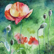 Augenweide. Aquarell (2021). Privatbesitz