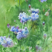 blaues Wunder. Aquarell (2020). Erhältlich