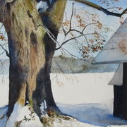 Älter als 5 Menschenleben. Aquarell (2014). Erhältlich