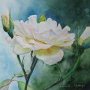 zart. Aquarell (2024). Erhältlich
