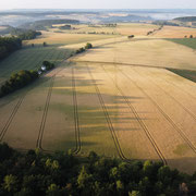 Juni 2023 - durch die anhaltende Trockenheit reift das Getreide schneller wie normal. Der Limes deutlich sichtbar vertikal in der Bildmitte 