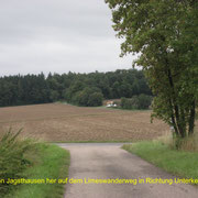 Ansicht vom Limes-Wanderweg von Jagsthausen her kommend; Blickrichtung von Süden