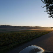 Spätsommermorgen auf dem Glasenberg - erste herbstliche Nebelarme