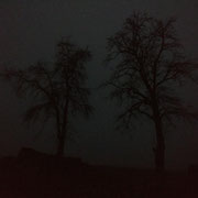 Im Nebel bei später Dämmerung am Limes-Wanderweg - nur noch für Ortskundige zu empfehlen  :-)
