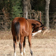 Oklahoma Dez. 2010