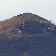 Monte Ferraro