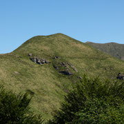Monte Magno