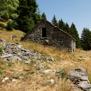 Alpe Valsecco 1577 m