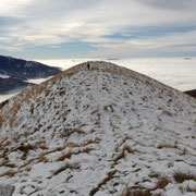 Monte Corbaro 1555 m