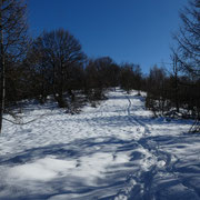 Verso la cima