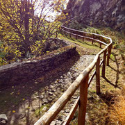 Alpe Cavalera 1541 m