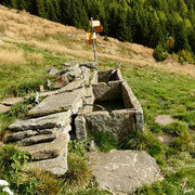 Alpe di Domass 1660 m