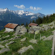 Stou di Sotto 1876 m