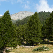 Verso il Gaggio