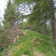 Sulla crestina verso l'Alpe di Gesero