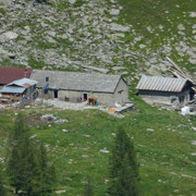 Alpe Arena