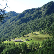 Alpe Pradasca