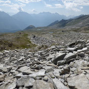 Alp de Confin