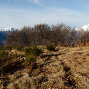 Monte Borgna 1157 m