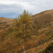 Sasso della Gallina e Pòla