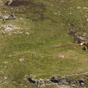 Alp de Carnac